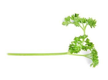 Photo of Fresh green organic parsley on white background