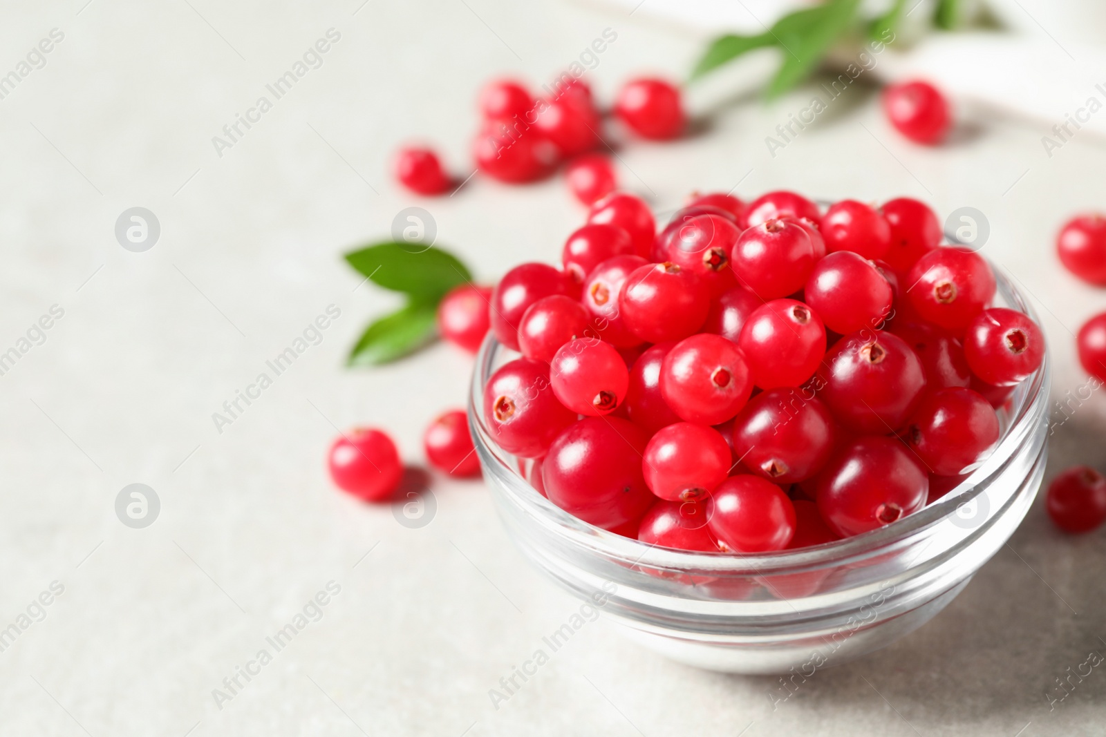 Photo of Fresh cranberry in bowl on light table, space for text