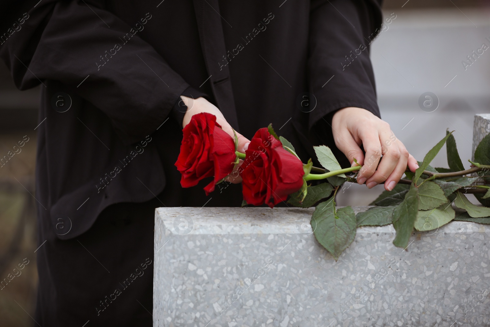 Photo of Woman with red roses near light grey tombstone outdoors, closeup. Funeral ceremony