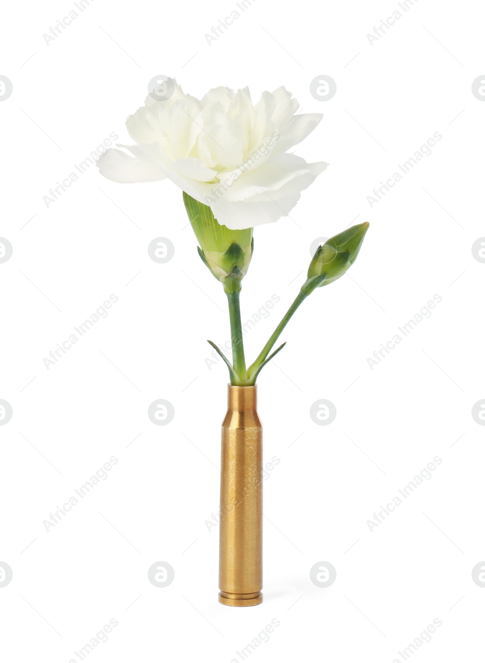 Photo of Beautiful flower in bullet case isolated on white