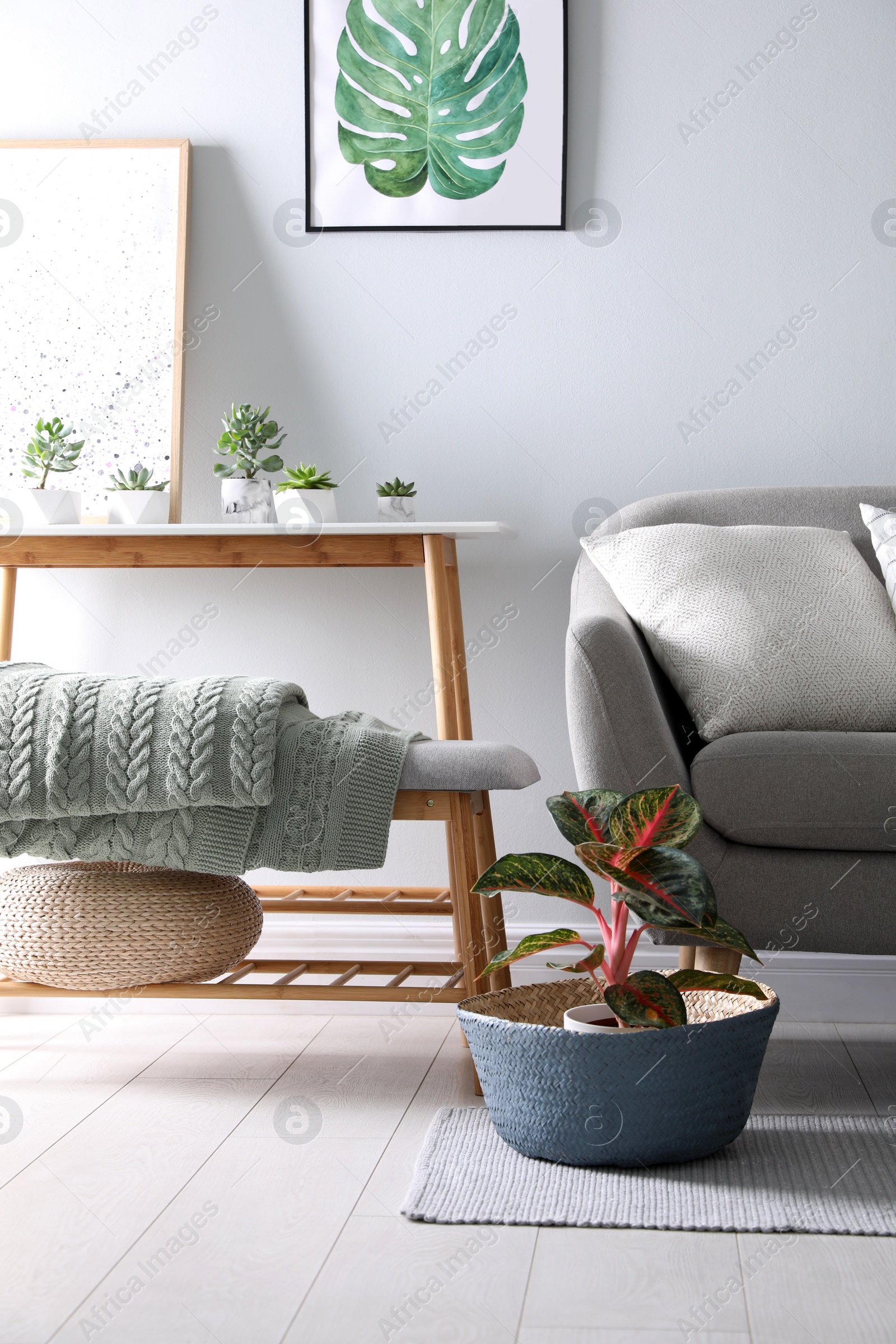 Photo of Folded knitted blanket on bench near sofa indoors. Home interior