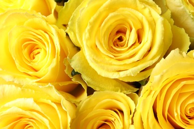 Photo of Beautiful bouquet of yellow roses as background, top view