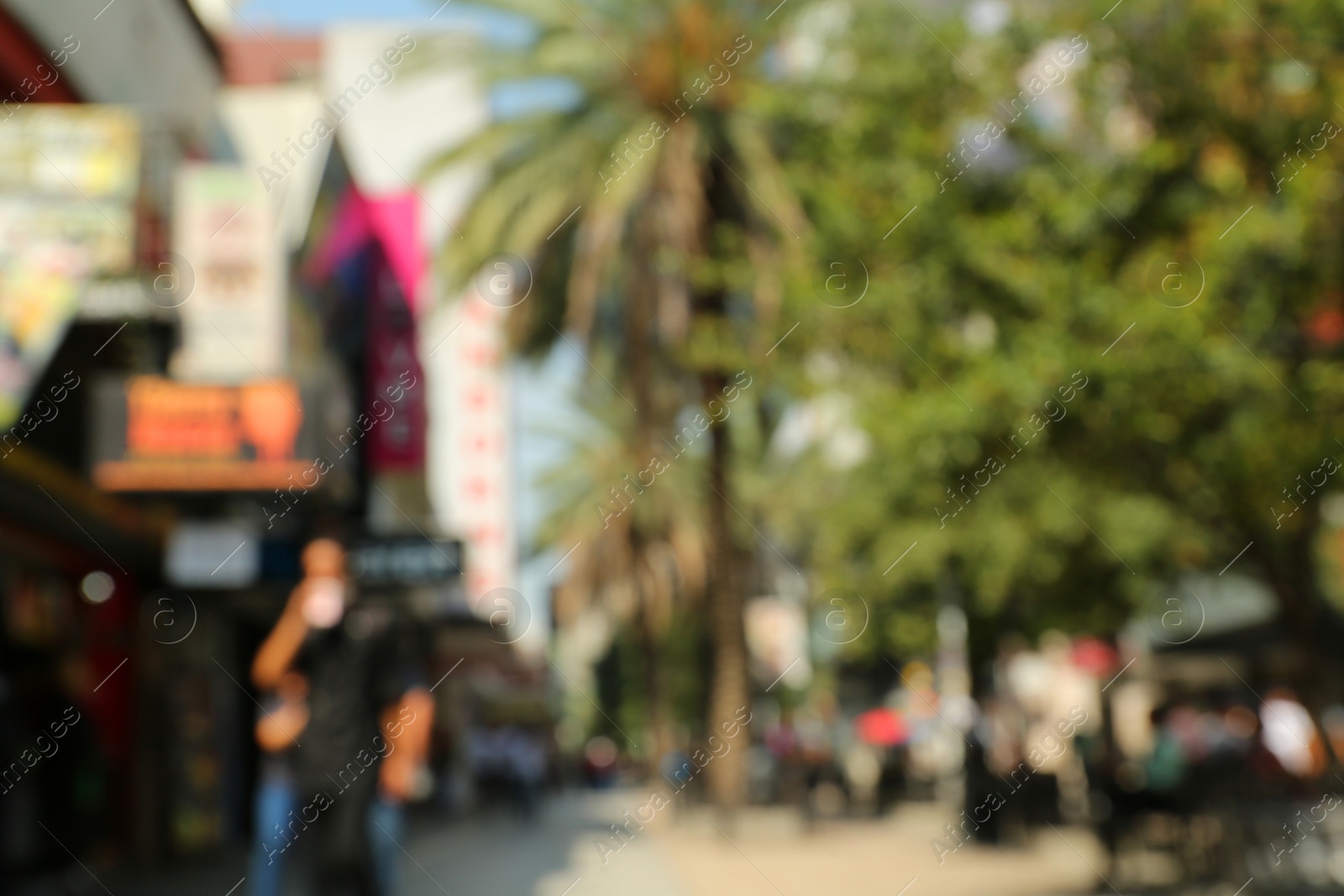 Photo of Blurred view of city street with palm trees
