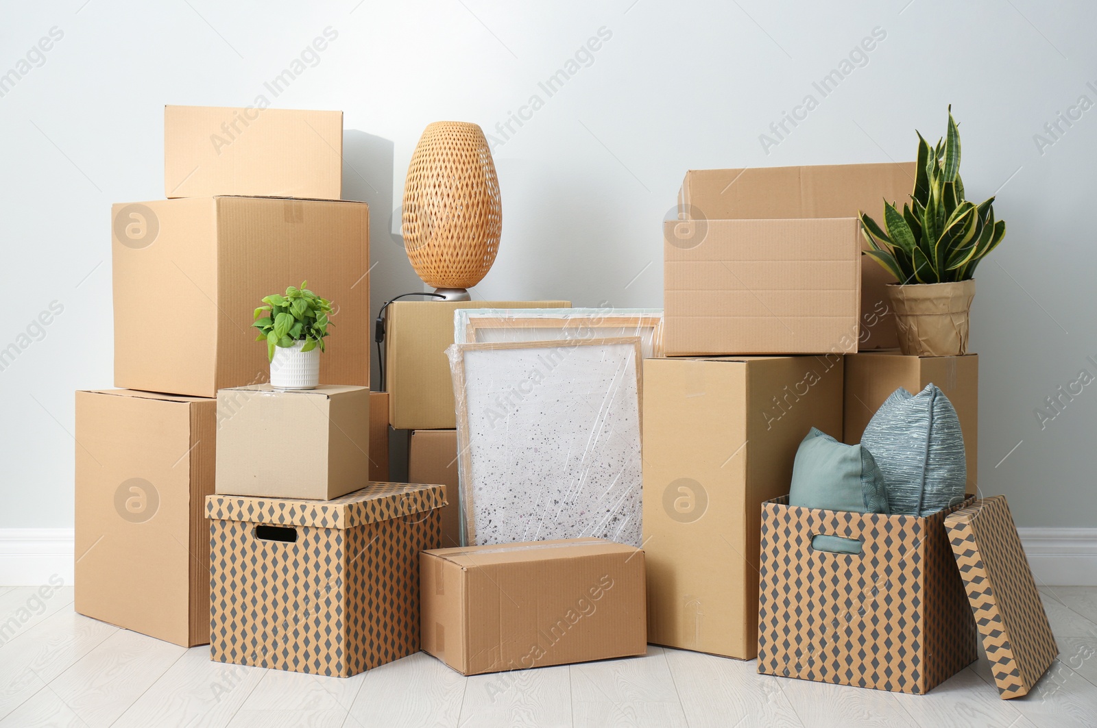 Photo of Cardboard boxes, potted plants and household stuff indoors. Moving day