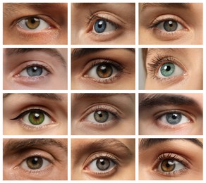 Collage with photos of people with beautiful eyes of different colors