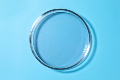 Photo of Petri dish with liquid on light blue background, top view