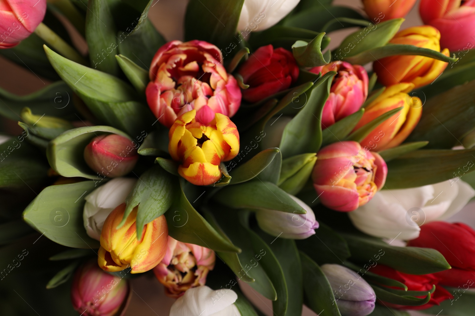 Photo of Beautiful bouquet of colorful tulip flowers, closeup