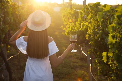 Young woman with glass of wine in vineyard on sunny day, back view