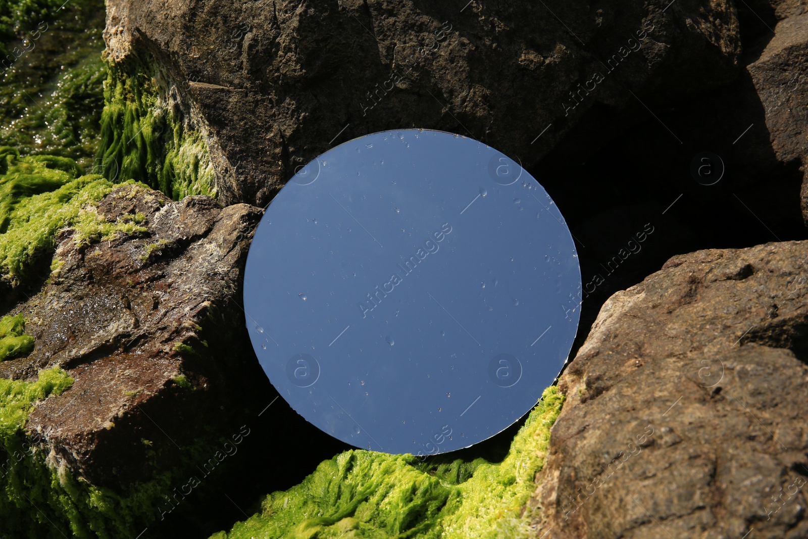 Photo of Round mirror reflecting light blue sky on stones with seaweed outdoors