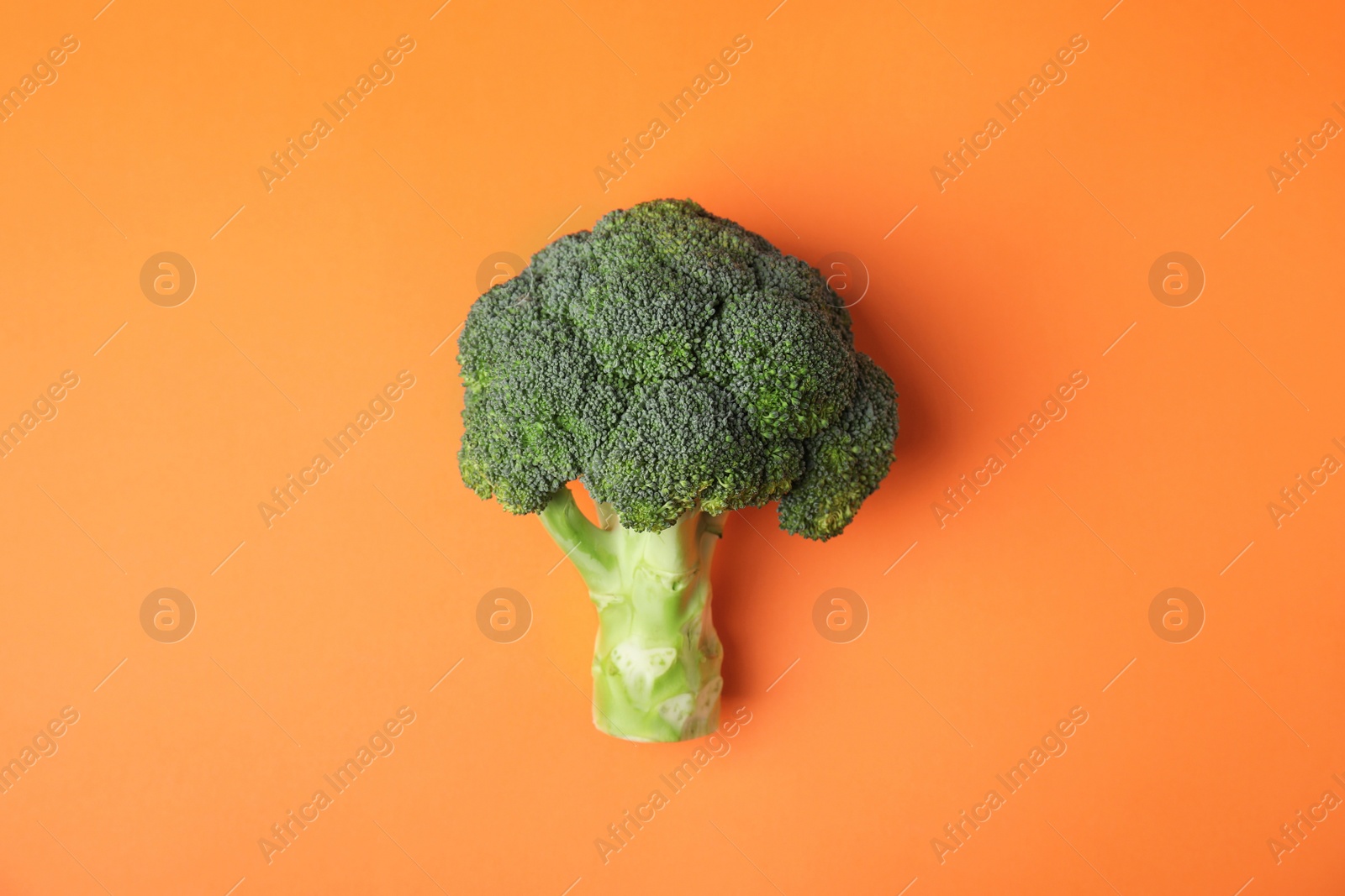 Photo of Fresh green broccoli on color background, top view. Organic food