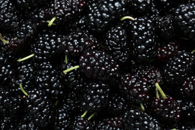 Ripe black mulberries as background, top view