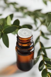 Photo of Bottle of eucalyptus essential oil and plant branches on white table