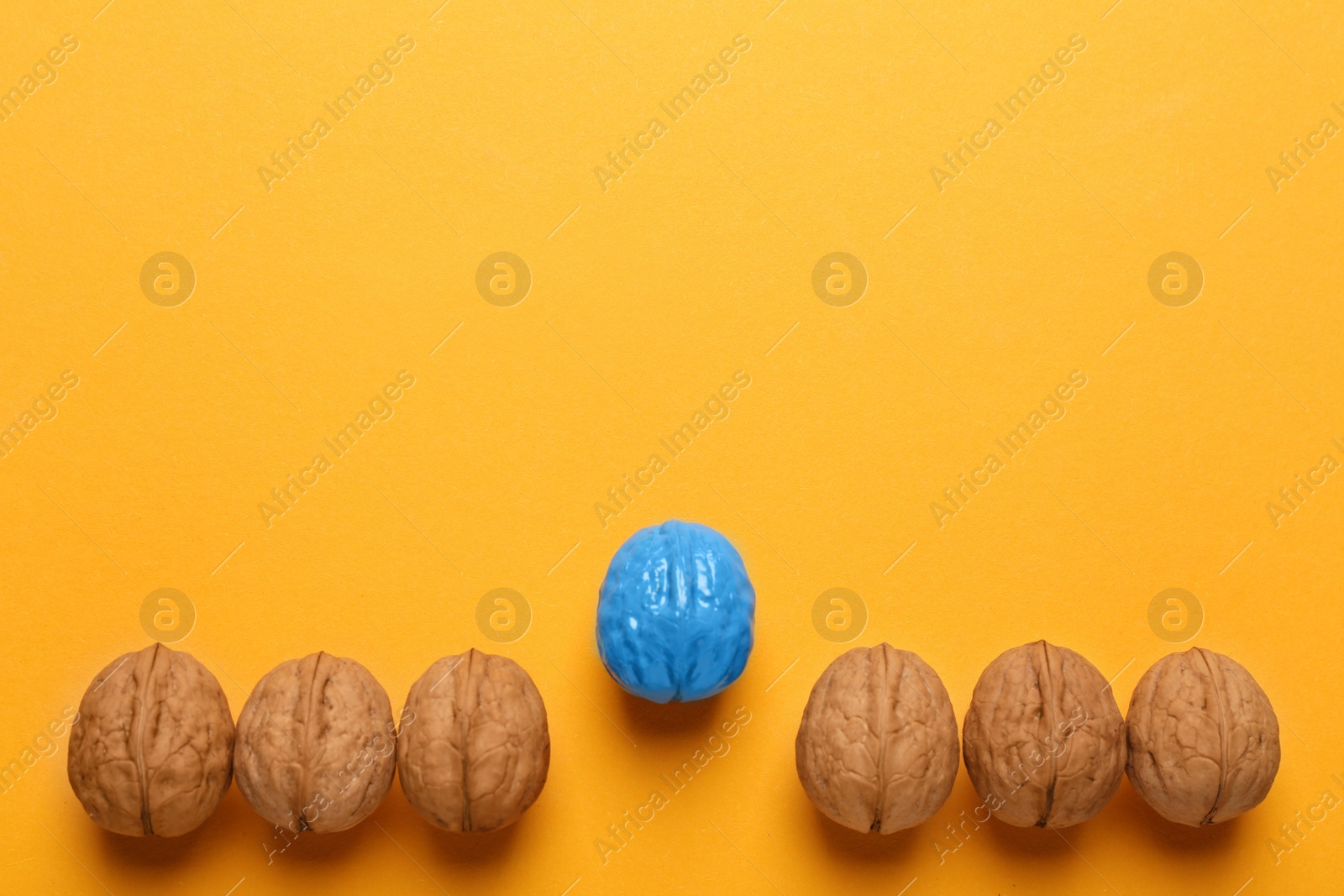 Photo of Blue walnut among others on yellow background, flat lay. Space for text