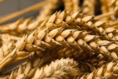 Photo of Dried ears of wheat on blurred background, closeup