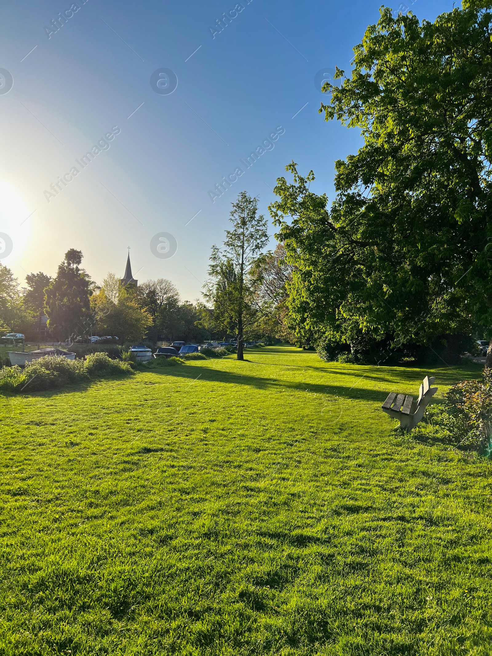 Photo of Picturesque view of green park with wooden bench on sunny morning