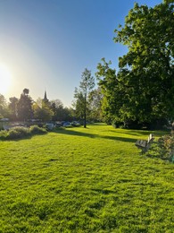 Picturesque view of green park with wooden bench on sunny morning