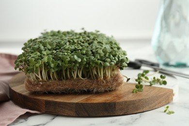 Photo of Fresh daikon radish microgreen on white marble table, closeup