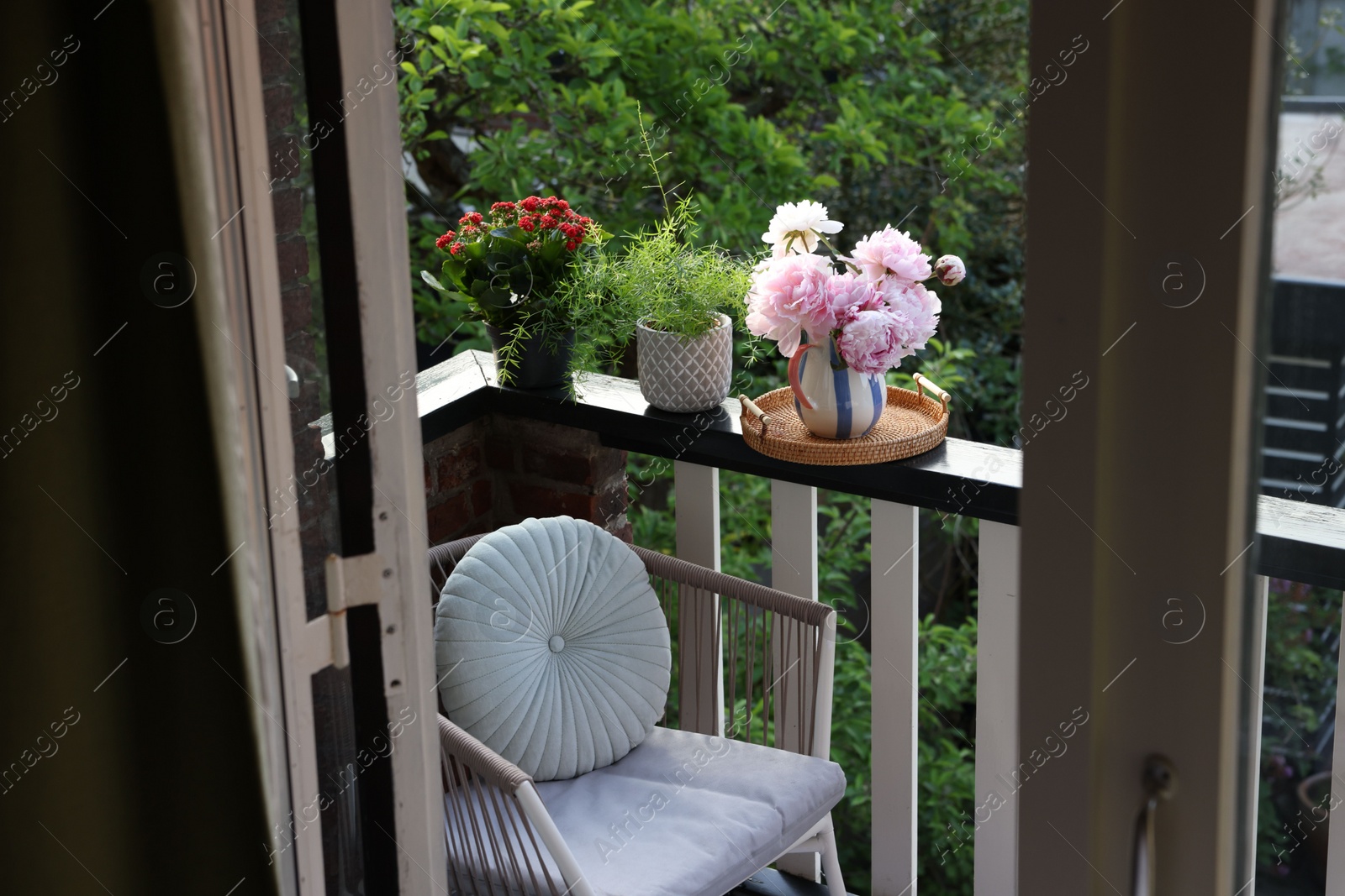 Photo of Different plants on railings and chair at cozy balcony outdoors