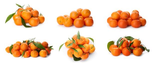 Image of Set with fresh ripe tangerines on white background. Banner design