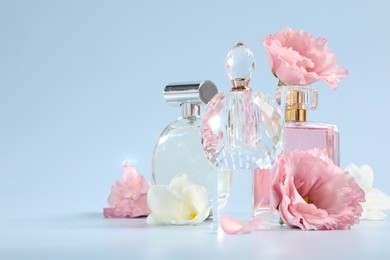 Bottles of luxury perfumes and floral decor on light blue background. Space for text