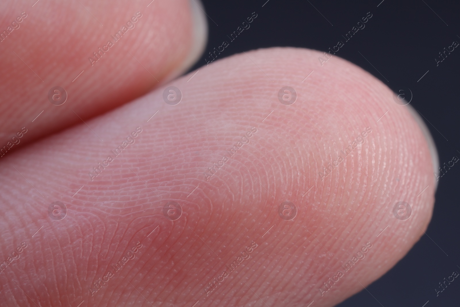 Photo of Finger with friction ridges on dark background, macro view