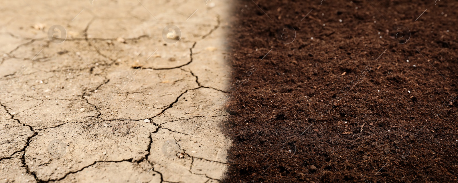 Image of Dry cracked ground and fertile soil, banner design