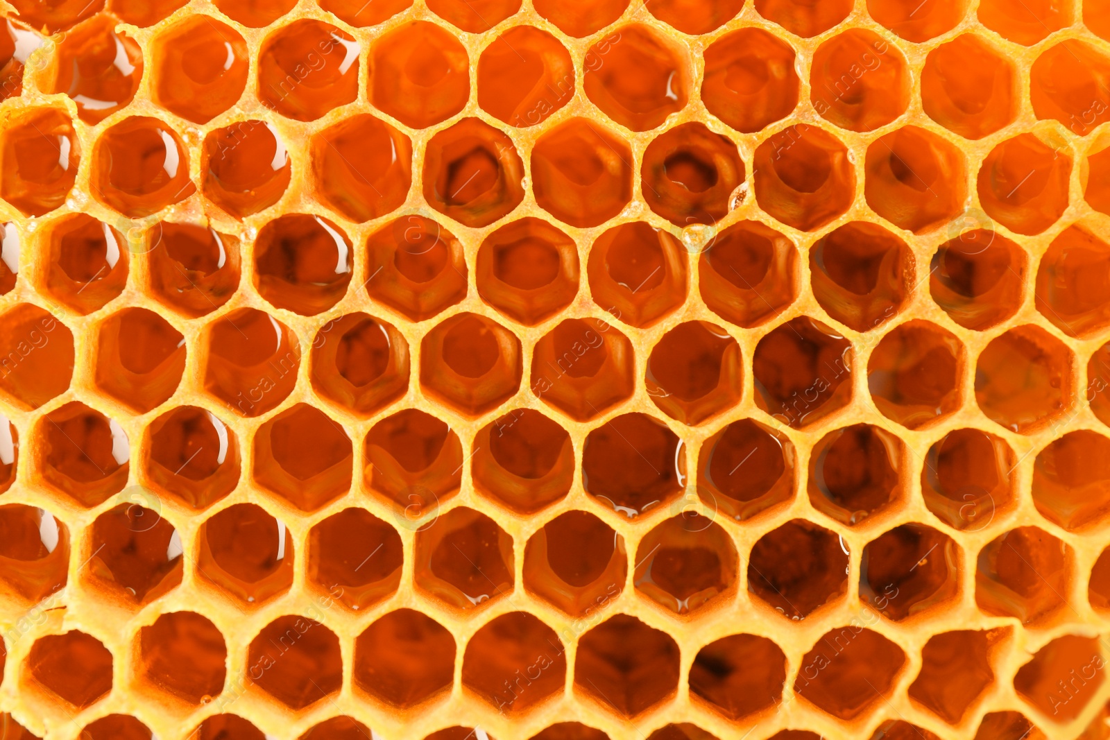 Photo of Filled honeycomb as background. Healthy natural sweetener