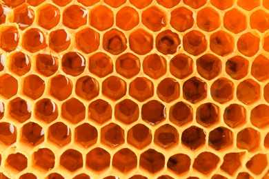 Photo of Filled honeycomb as background. Healthy natural sweetener