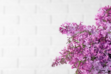 Photo of Blossoming lilac flowers on light background, closeup. Space for text