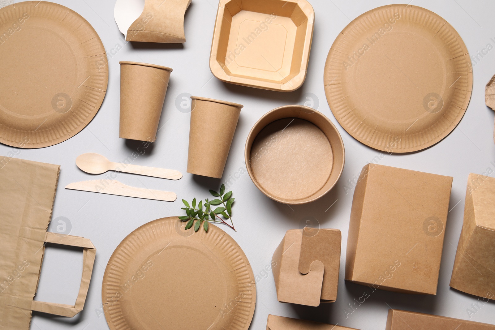 Photo of Flat lay composition with eco friendly food packagings and twig on light grey background