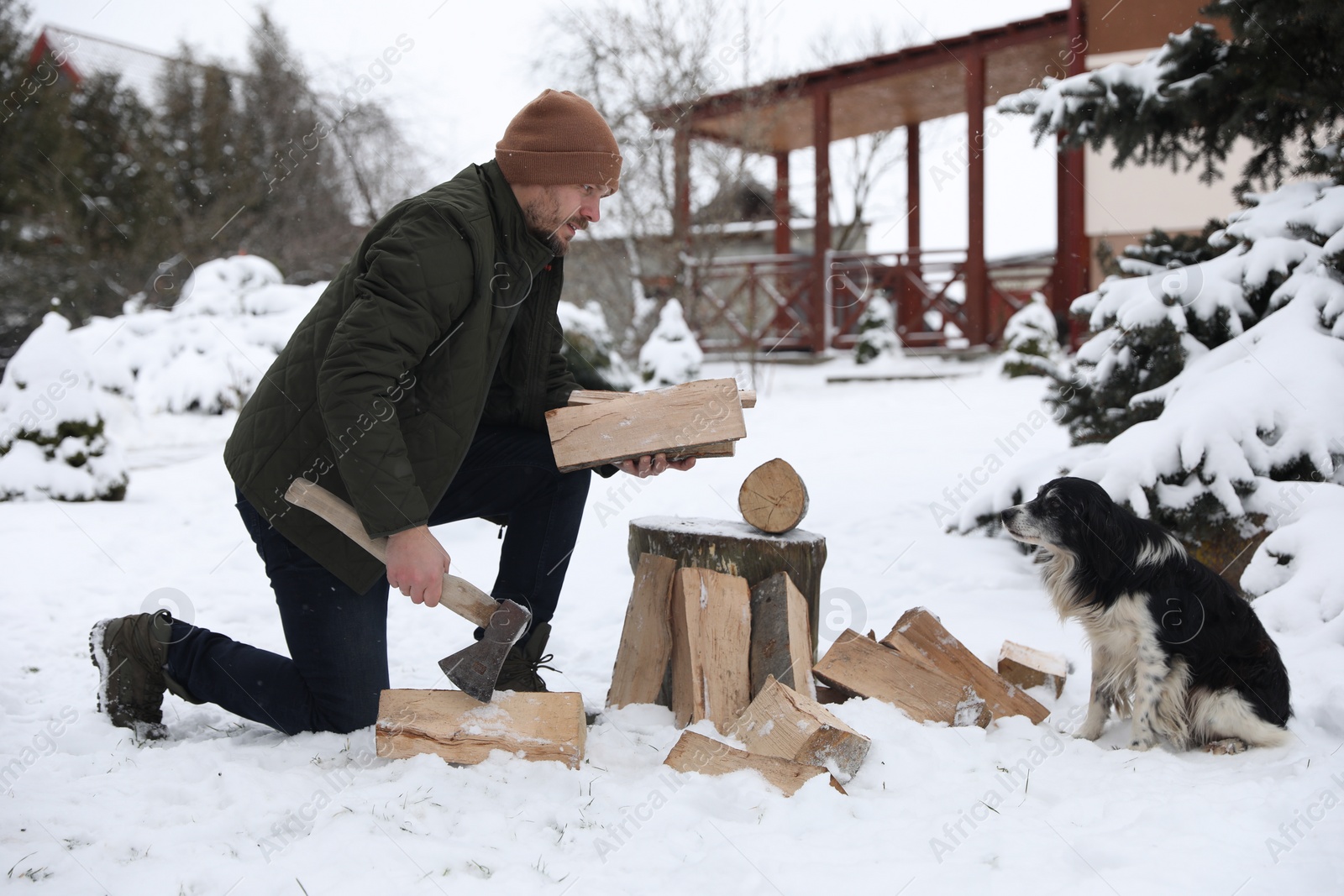 Photo of Man chopping wood with axe next to cute dog outdoors on winter day