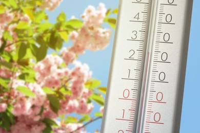Image of Thermometer and blossoming sakura tree outdoors. Temperature in spring
