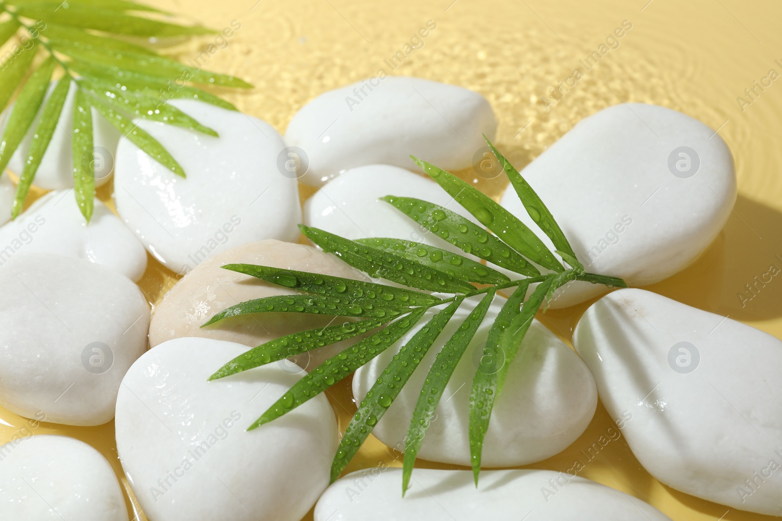 Photo of Spa stones and palm leaves in water on yellow background, closeup