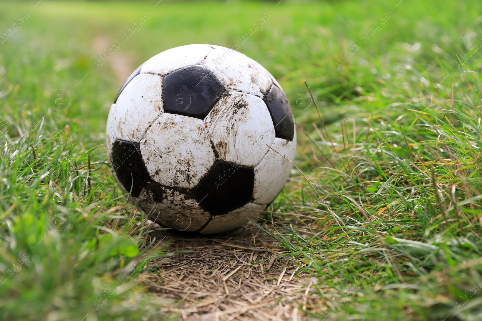 Photo of Dirty soccer ball on green grass outdoors, space for text