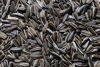 Pile of sunflower seeds as background, closeup