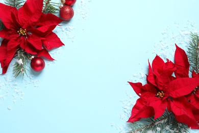 Photo of Flat lay composition with poinsettia and space for text on color background. Traditional Christmas flower