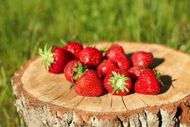 Photo of Ripe strawberries on tree stump outdoors, closeup