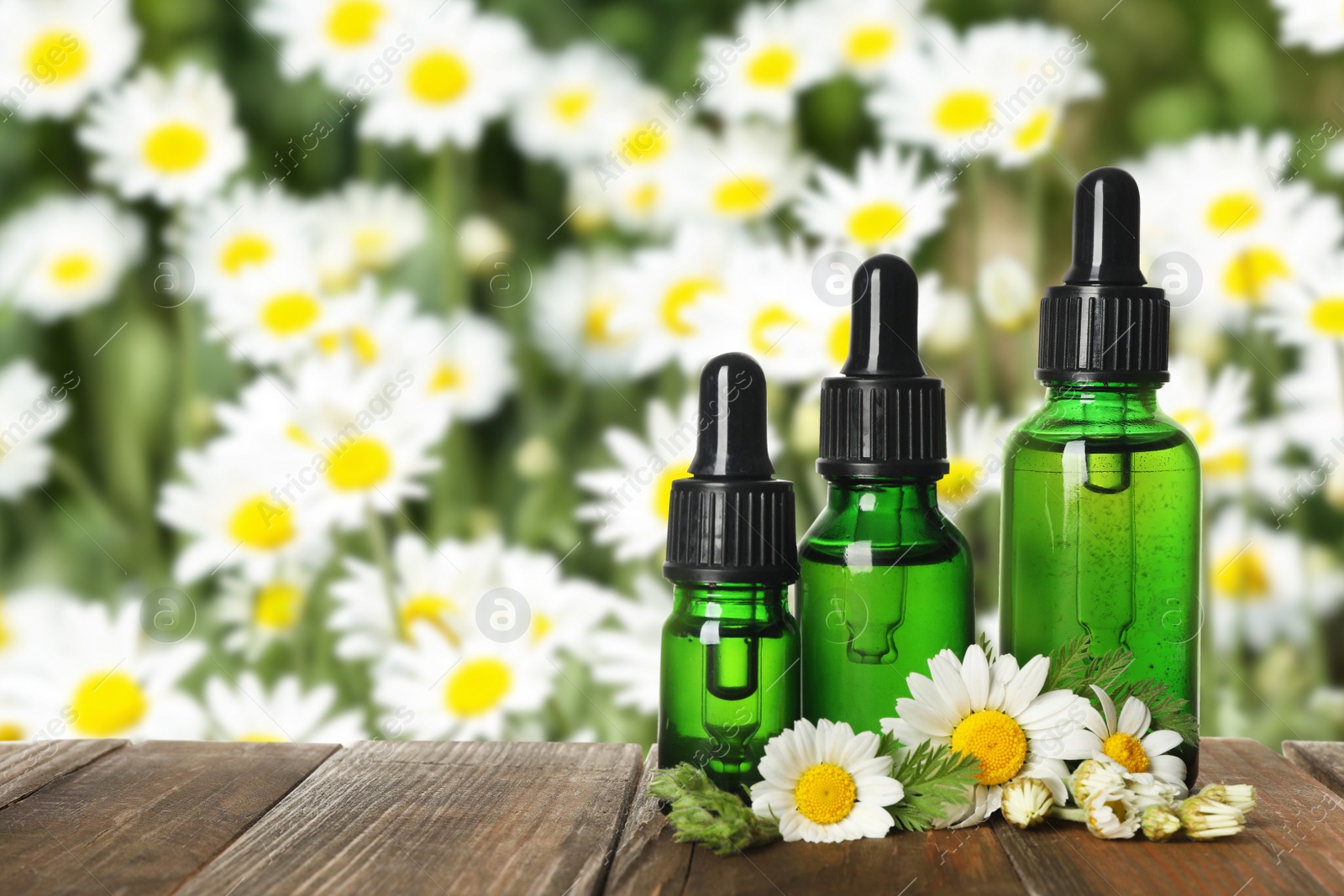 Image of Bottles of essential oil and chamomile flowers on wooden table against blurred background. Space for text