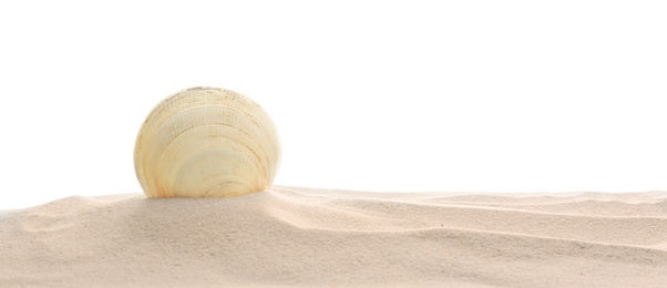 Photo of Pile of beach sand with sea shell isolated on white