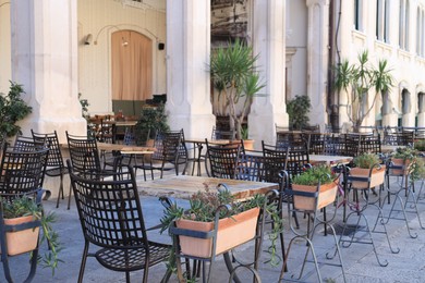 Outdoor cafe with stylish furniture and plants in pots