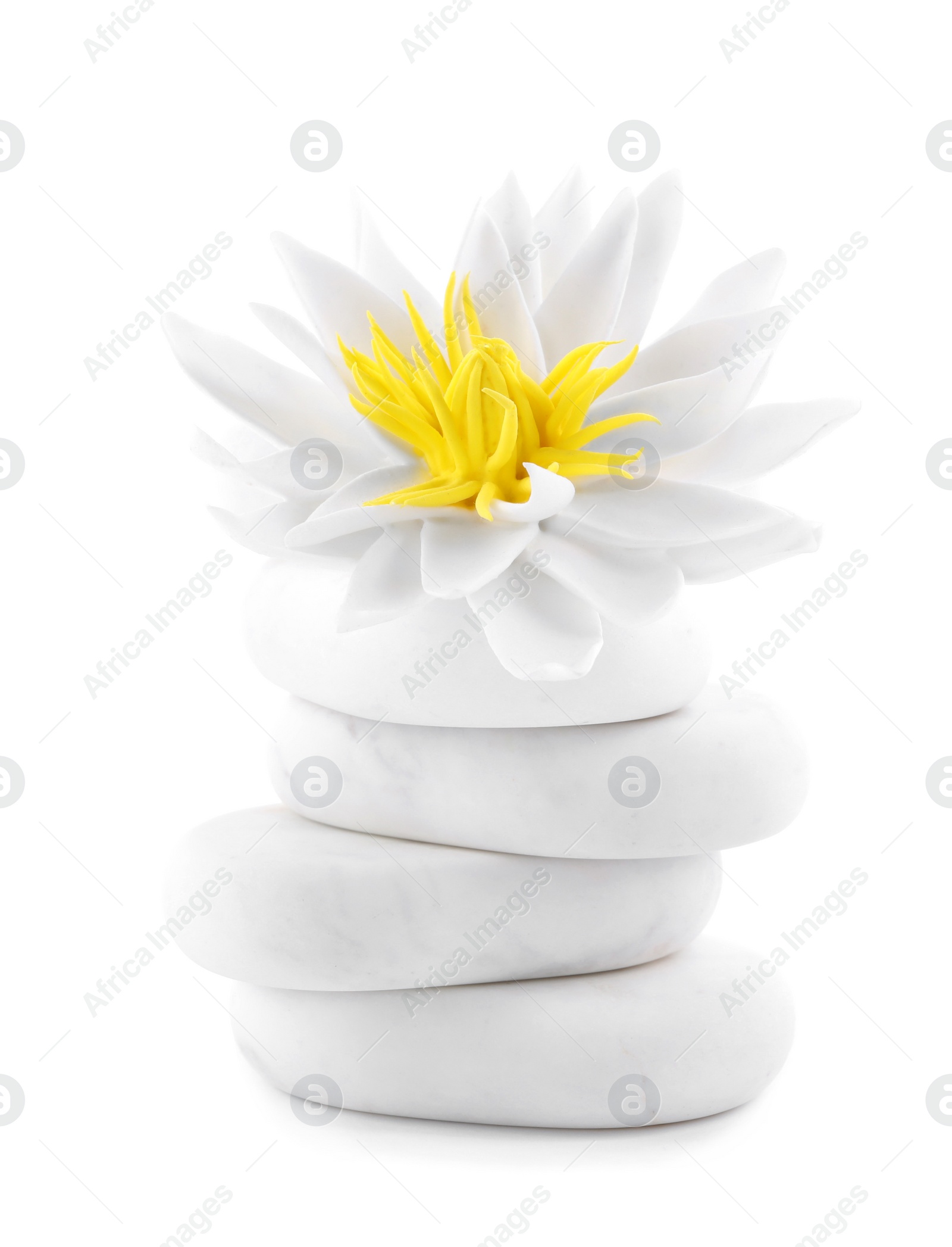 Photo of Beautiful lotus flower and stones on white background