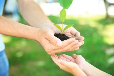 Photo of Man passing soil with green plant to his child on blurred background. Family concept