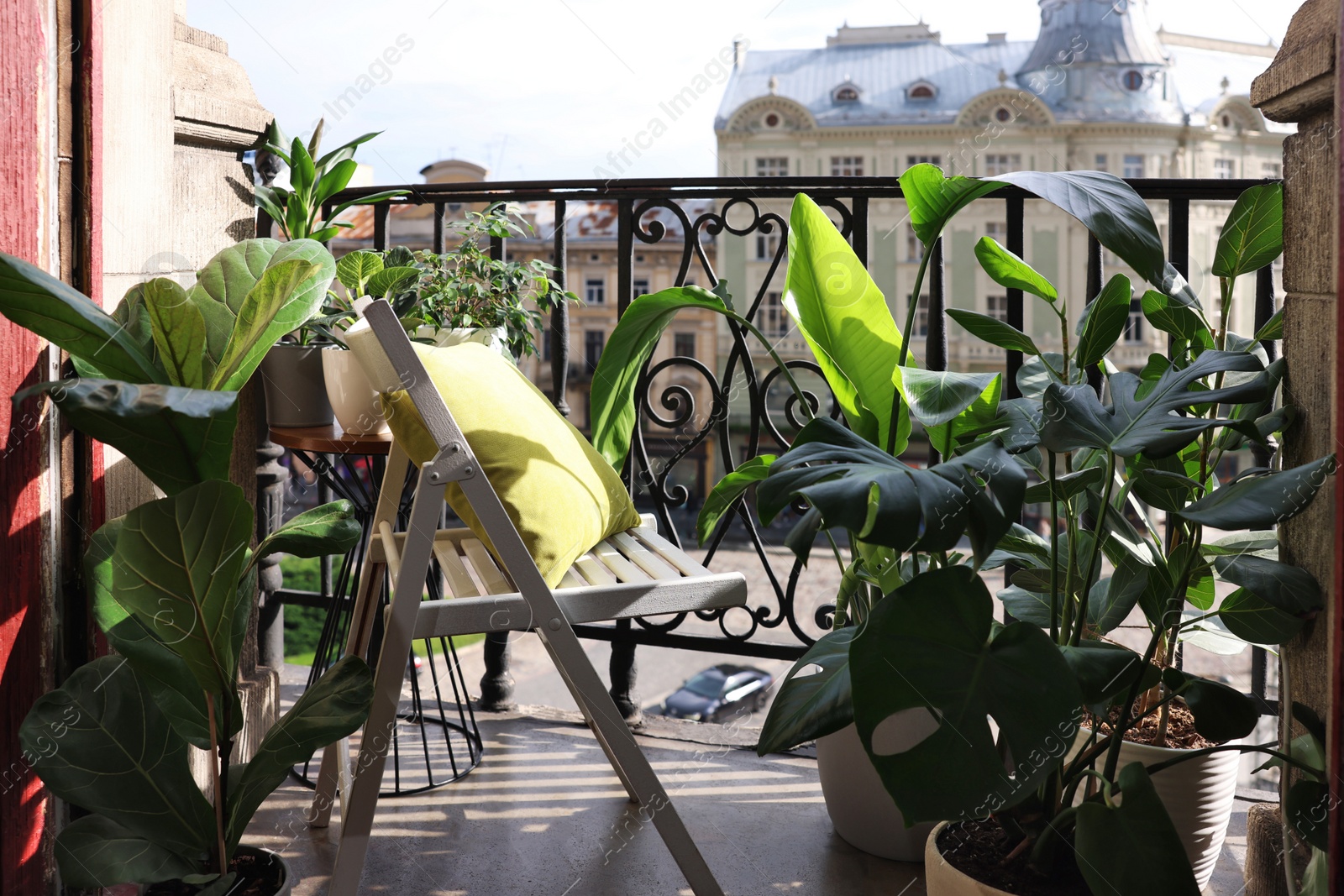 Photo of Relaxing atmosphere. Stylish chair with pillow surrounded by beautiful houseplants on balcony