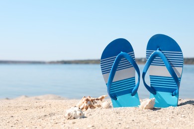 Photo of Stylish flip flops and seashells on sandy beach, space for text