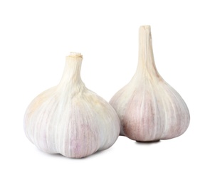 Photo of Fresh organic garlic bulbs on white background