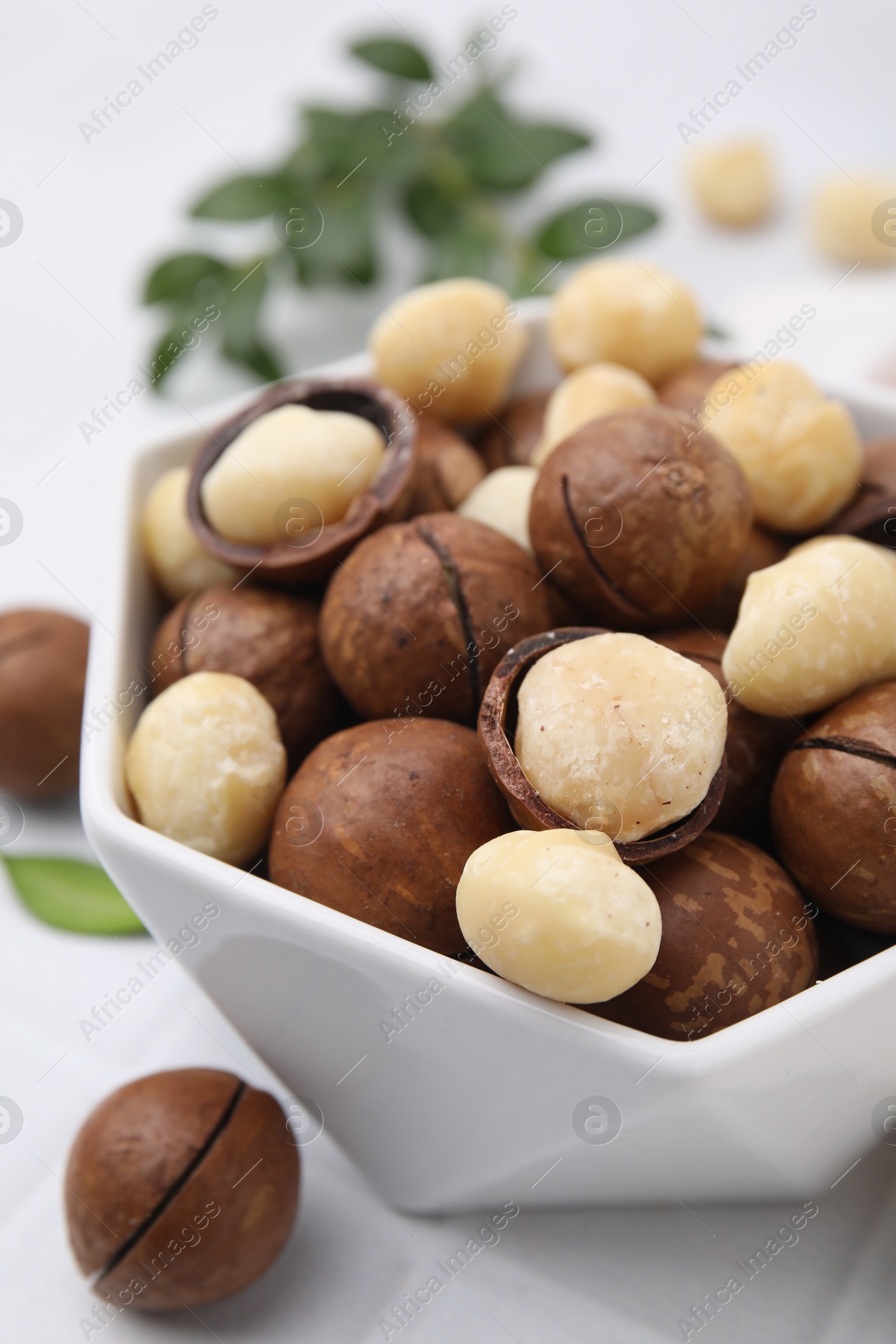 Photo of Tasty Macadamia nuts in bowl on white table, closeup