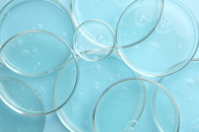 Petri dishes with liquid samples on light blue background, top view