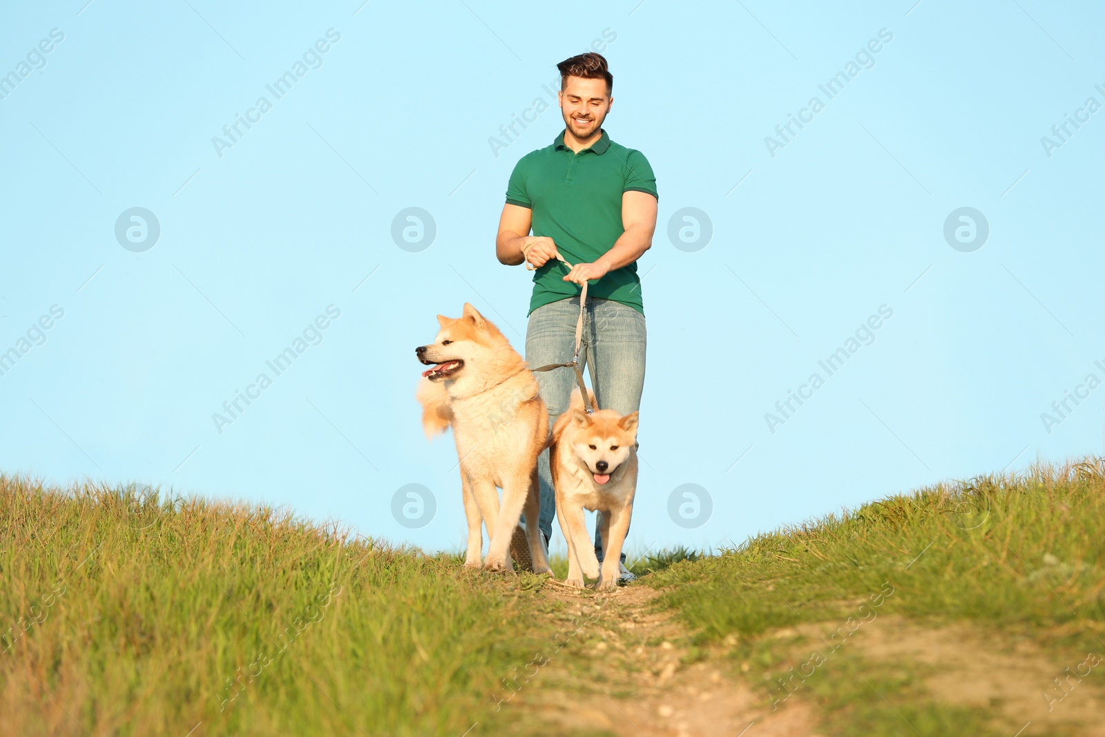 Photo of Young man walking his adorable Akita Inu dogs outdoors