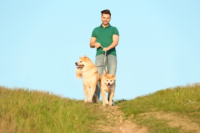 Young man walking his adorable Akita Inu dogs outdoors