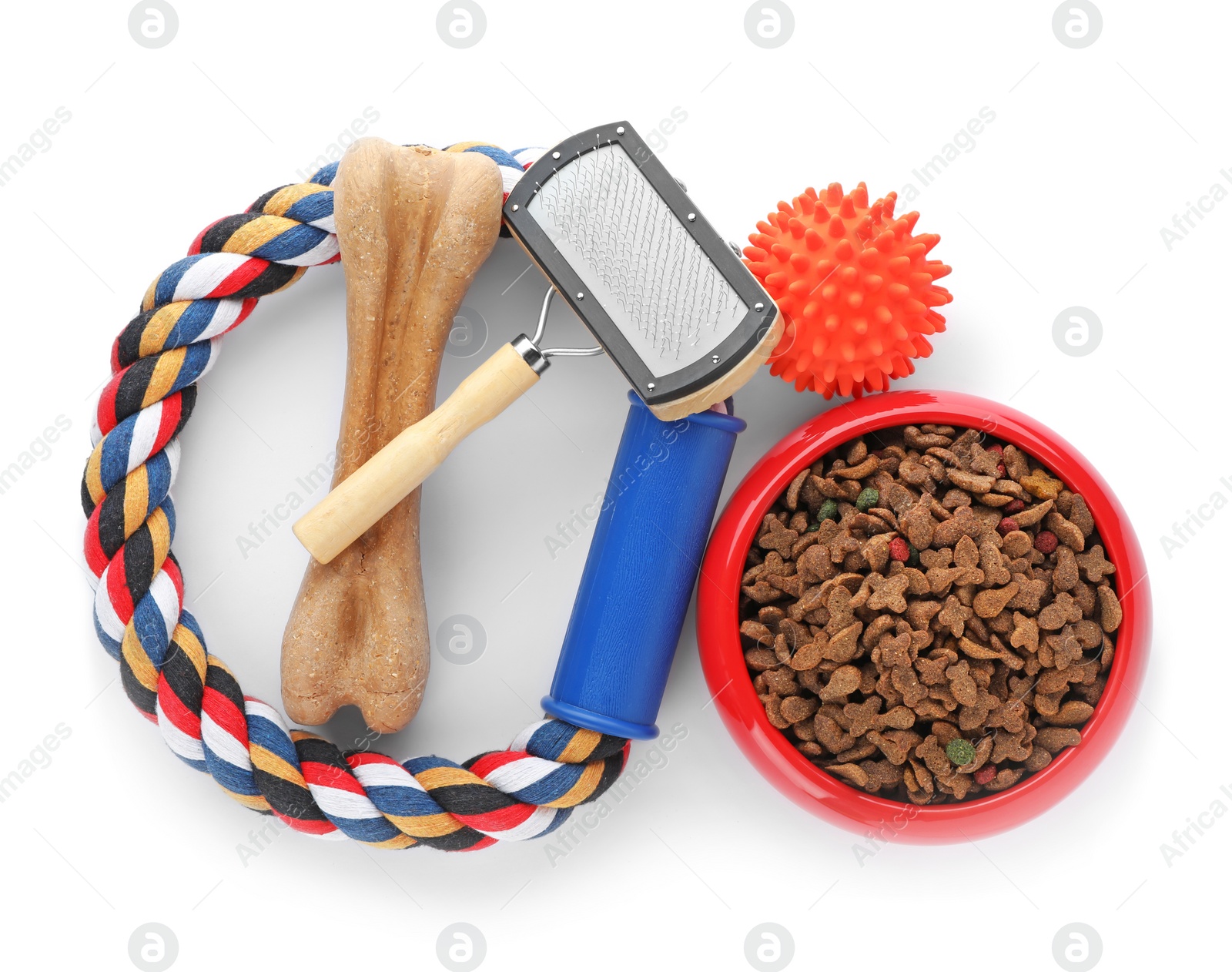 Photo of Accessories for dog on white background. Pet care